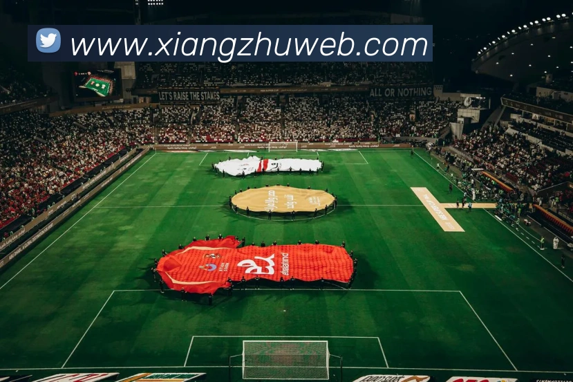 宝威网页版平台生态图